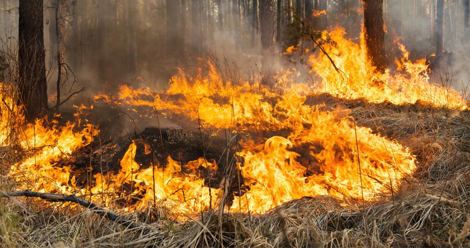Charla sobre Prevención de Incendios en Centro de Capacitación Agropecuaria