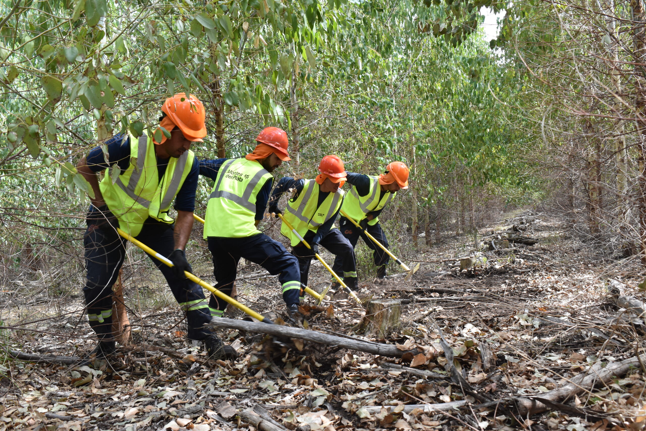 Montes del Plata implementa monitoreo satelital para detección temprana de incendios en todos sus bosques