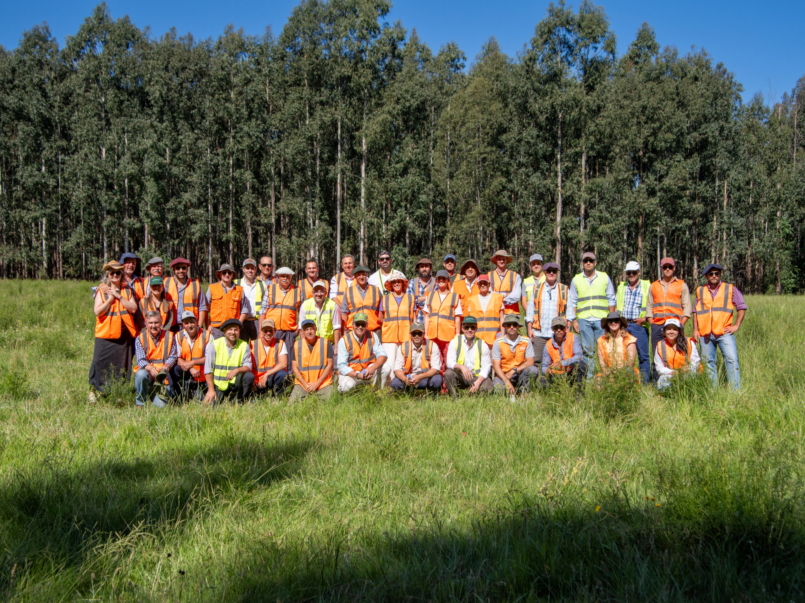Pastoreo racional: Montes del Plata y SUPRA trabajarán juntos para incorporar prácticas de vanguardia en ganadería sostenible