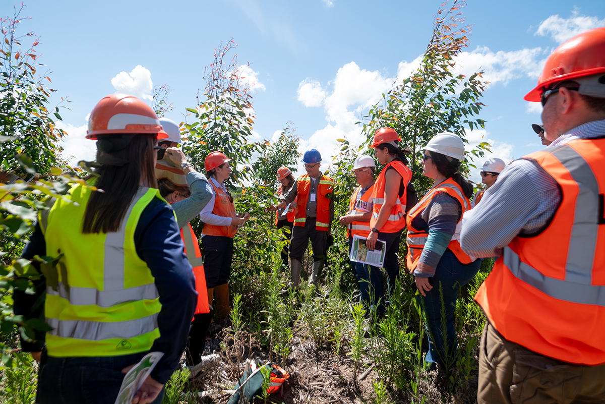 Expertos en sanidad forestal del Cono Sur se reunieron en Paysandú