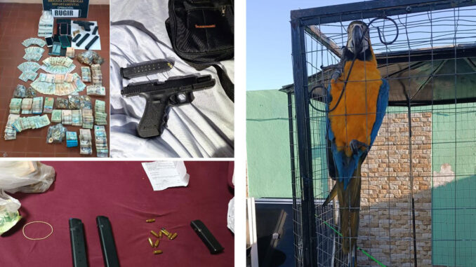 Paysandú: Catorce imputados tras Operación “Rugir” por narcotráfico