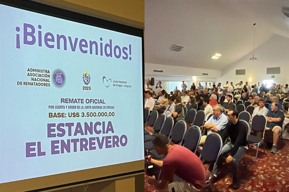 Remataron estancia “El Entrevero”: multimillonario argentino estaría detrás de la compra